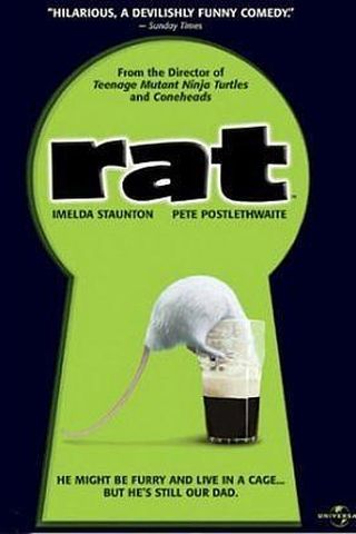 Rat