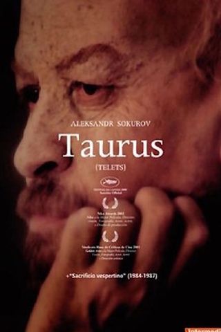 Taurus