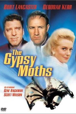 The Gypsy Moths