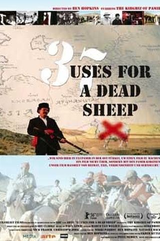 37 Uses for a Dead Sheep