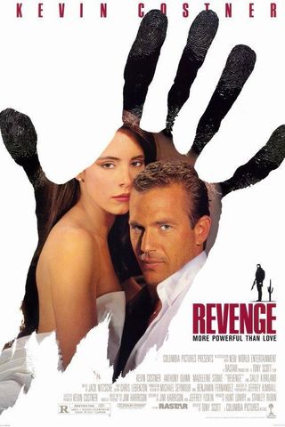 Revenge - A Vingança