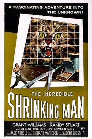 The Incredible Shrinking Man