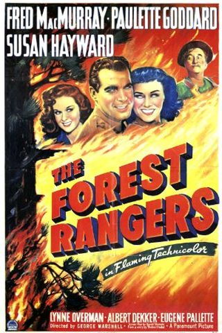 The Forest Rangers