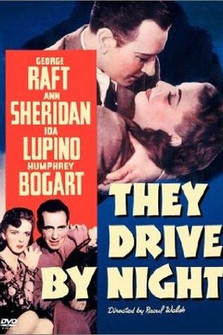 They Drive by Night