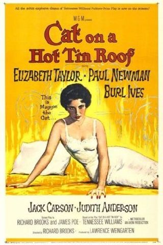 Cat on a Hot Tin Roof