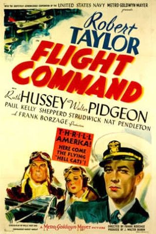 Flight Command