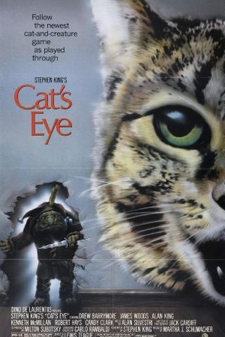 Olhos de Gato