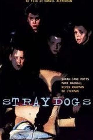 Straydogs