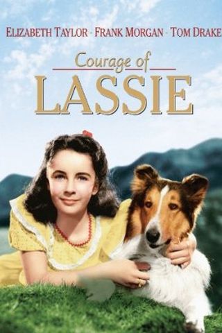 Courage of Lassie