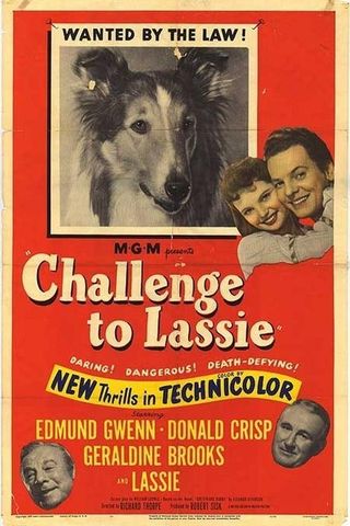 O Desafio de Lassie