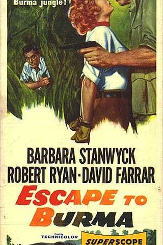 Escape to Burma