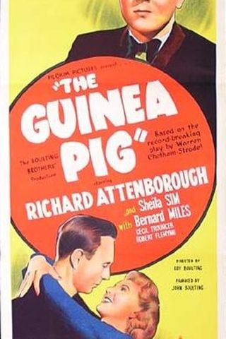 The Guinea Pig