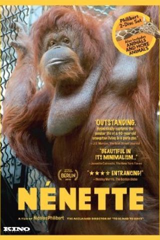 Nénette