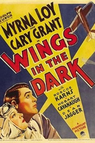 Wings in the Dark