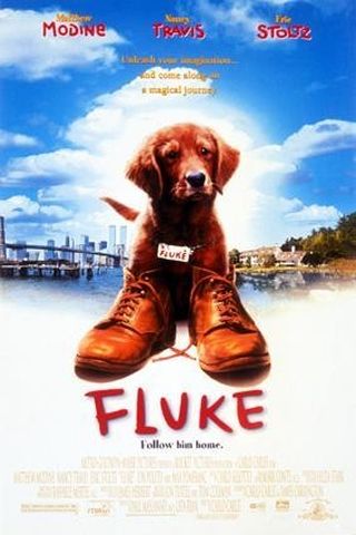 Fluke