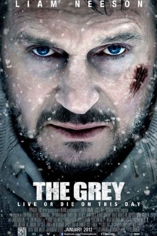 The Grey