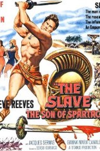 O Filho de Spartacus