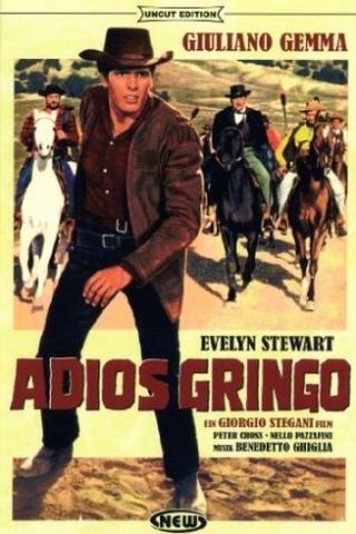 Adiós Gringo