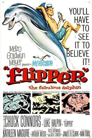 Flipper