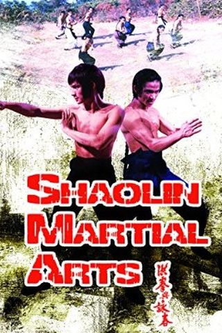 As Artes Marciais de Shaolin