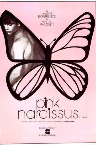 Pink Narcissus