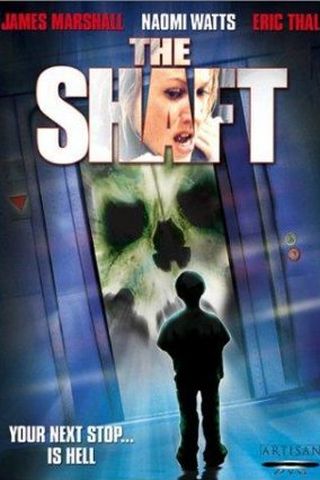 The Shaft