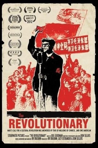 O Revolucionário