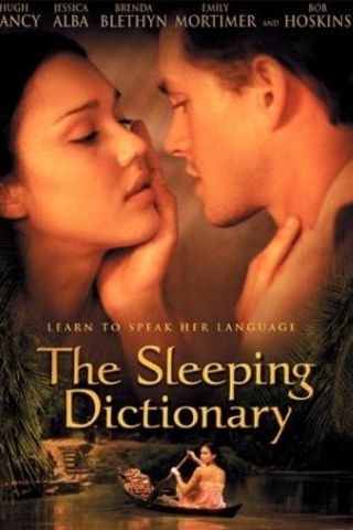 The Sleeping Dictionary