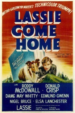 Lassie Come Home