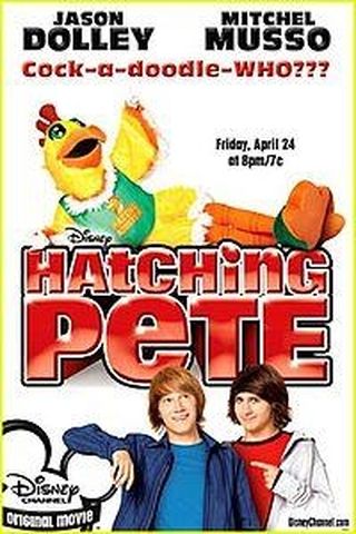 Hatching Pete