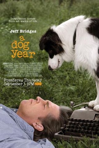 Um Ano do Cão