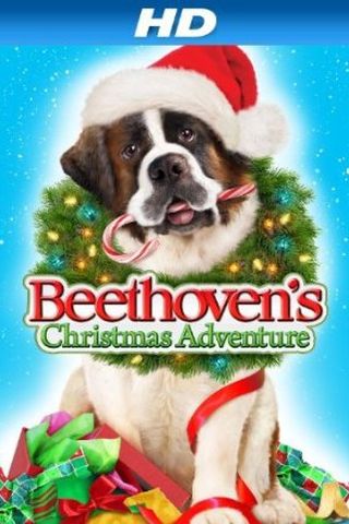 Beethoven - Aventura de Natal