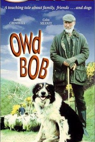 Owd Bob