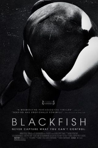 Blackfish - Fúria Animal