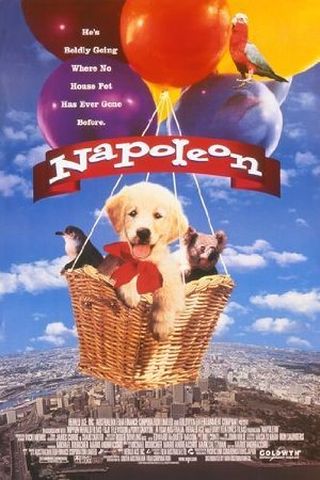 Napoleon - As Aventuras de um Cãozinho Valente