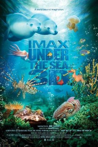 Under the Sea