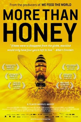 More Than Honey