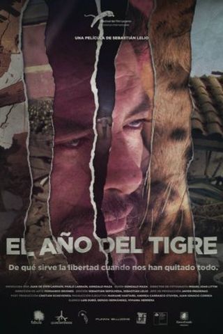 O Ano do Tigre