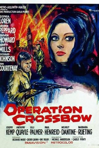 Operation Crossbow