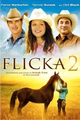 Flicka 2