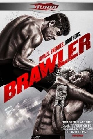 Brawler