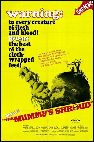 The Mummy's Shroud