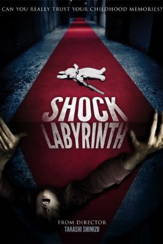 The Shock Labyrinth