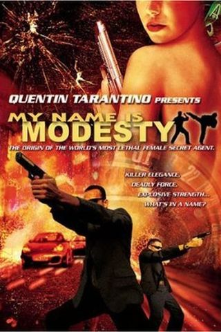 Meu Nome É Modesty Blaise