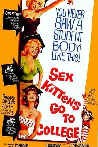 Sex Kittens Go to College