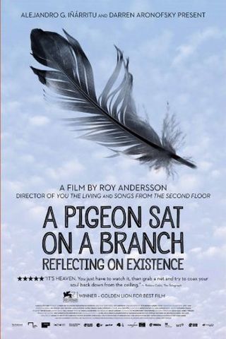 A Pigeon Sat on a Branch Reflecting on Existence