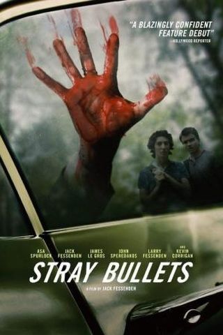 Stray Bullets