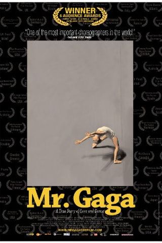 Mr. Gaga