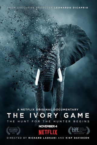 The Ivory Game