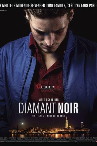 Diamant Noir